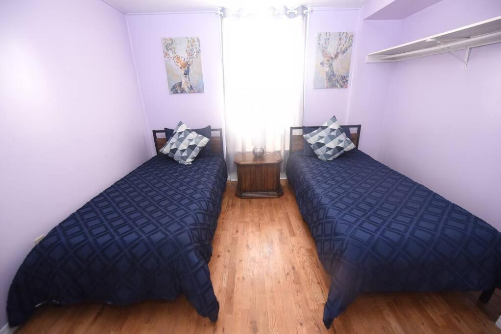 Prime Location Duo Nest & Rest Apartment Kingston Exterior foto